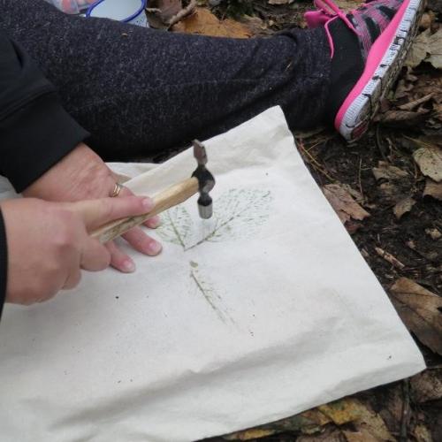Forest School Leader Training at The Sustainability Centre