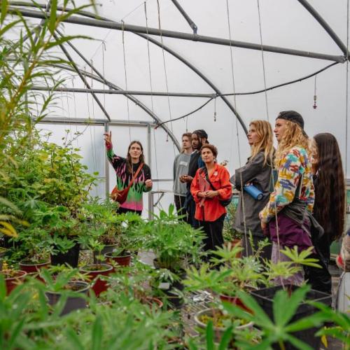 Students learning in the polytunnel