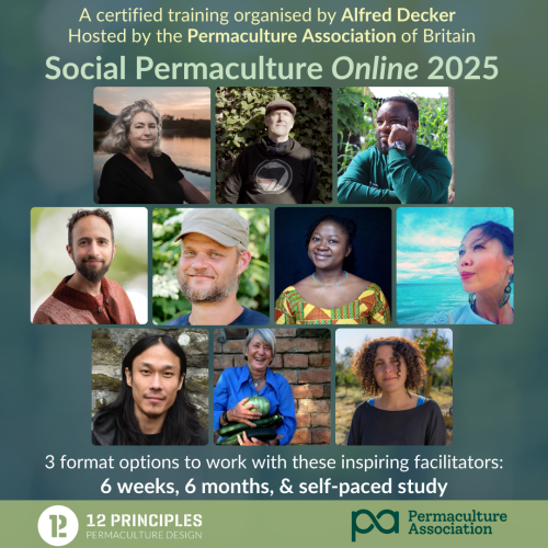 Social Permaculture Online 2025