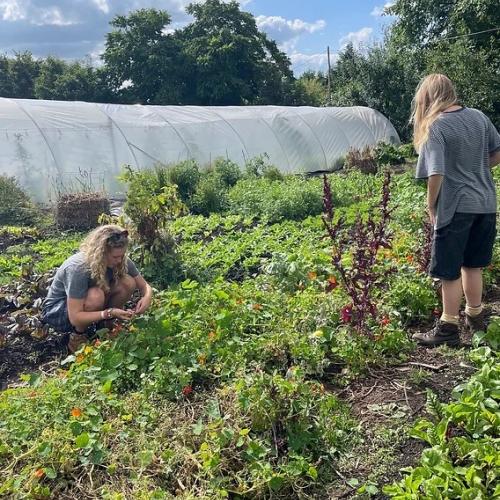 Students learning outdoors at a practical field site
