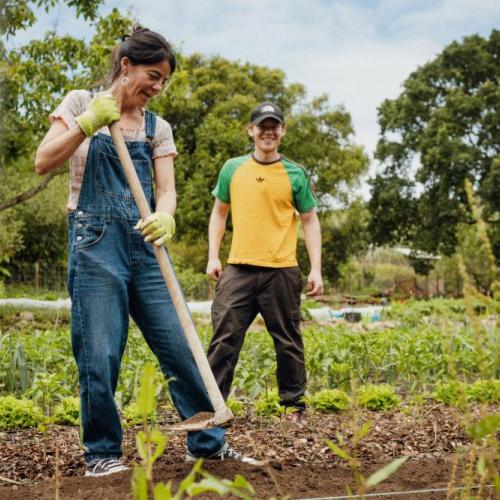 Students in the garden during one of our hands on sessions