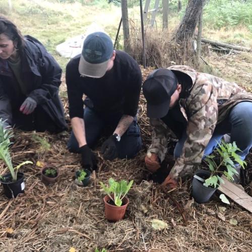 Planting a forest garden during a Forest Garden workshop at Applewood