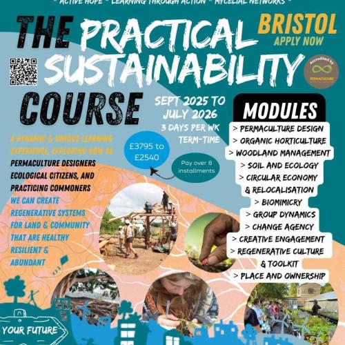 A poster of the Practical Sustainability Course, depicting key course information, and displaying photographs of students building a roundhouse, learning about market gardening, planting seeds, studying plants, and a beautiful tree with an extensive root system