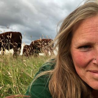 Photo of Hannah smiling at the camera with some of her Lincoln Red Cows behind her in long grass