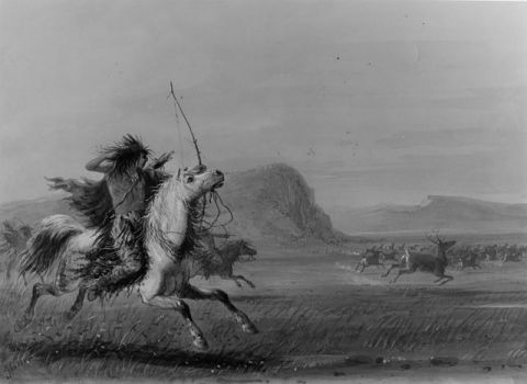 "Hunting Elk" by Alfred Jacob Miller 
