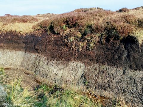 View of soil horizons in landscape showing top layer of peat mixing with lower layers of stone