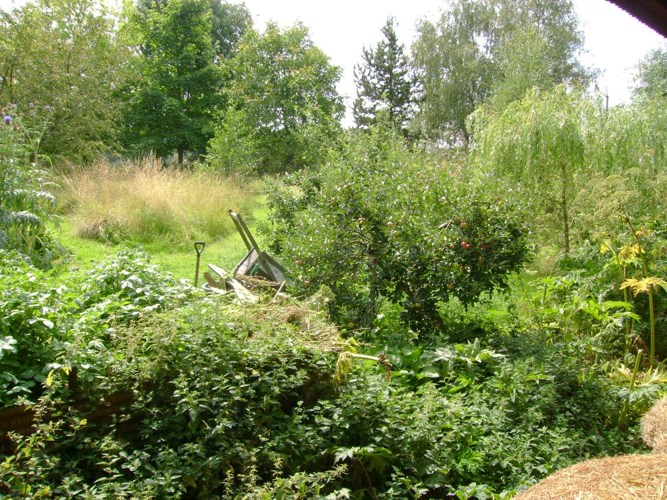 Apple Tree Guild