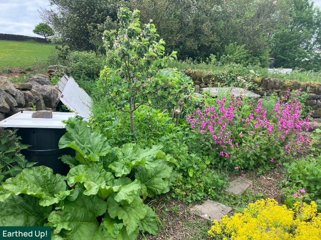 Forest garden atEarthed Up!