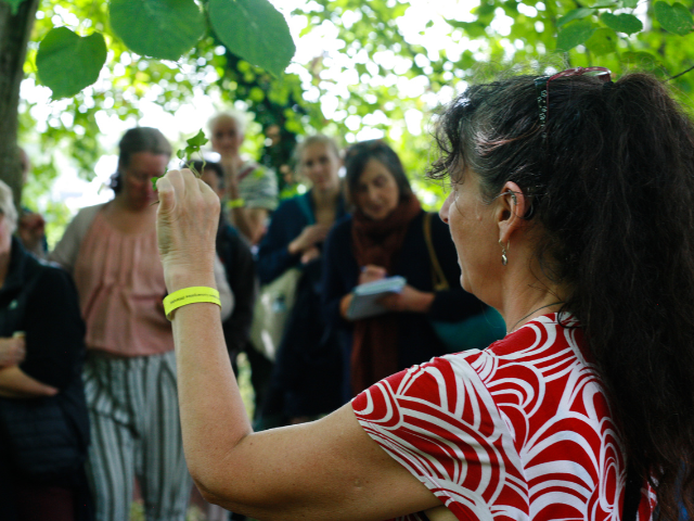 Learning outside about foraging