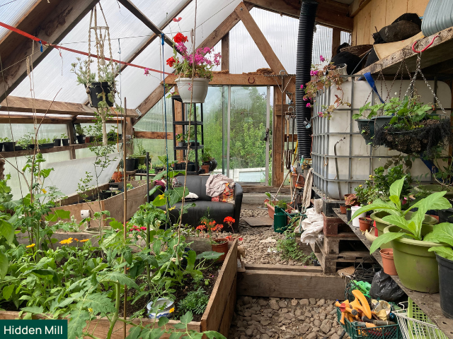 Lean to at the Hidden Mill