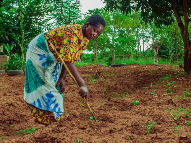 person in Tanzania farming