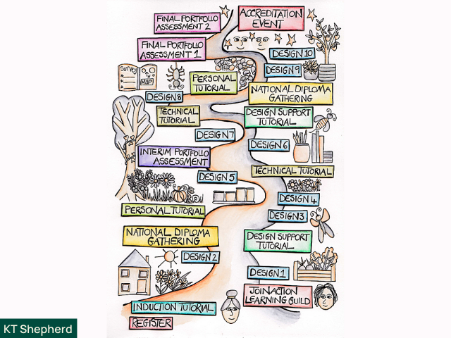 diploma pathways graphic