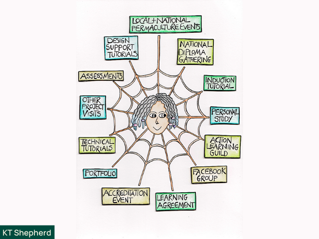 design web