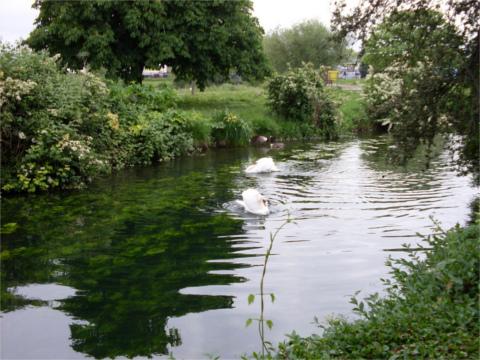 river