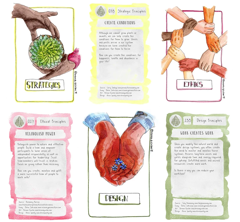 Delvin's Design Deck - Introduction to permaculture self study logo 