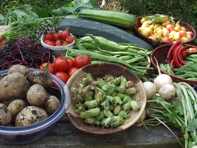 food grown at Cottage Garden