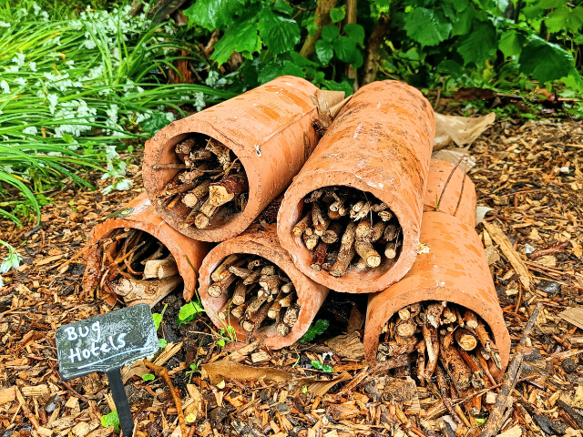bug hotel