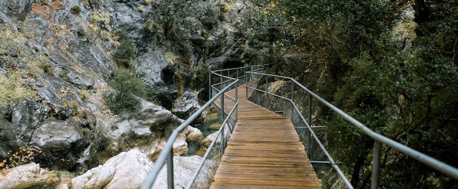 Pathway