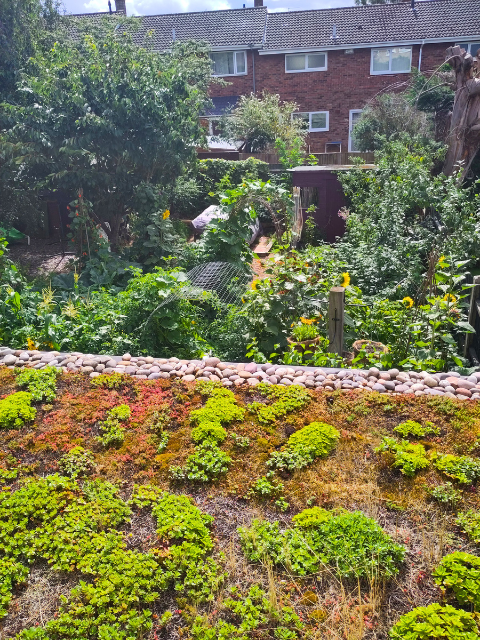 Emma's garden