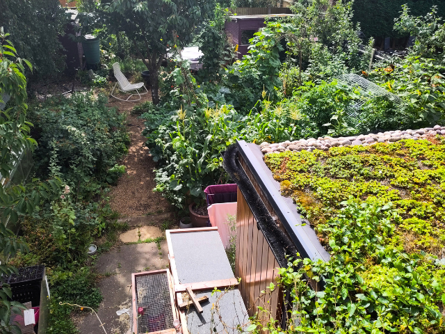 Emma's garden