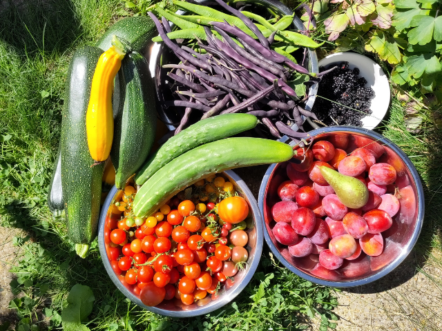 Emma's garden