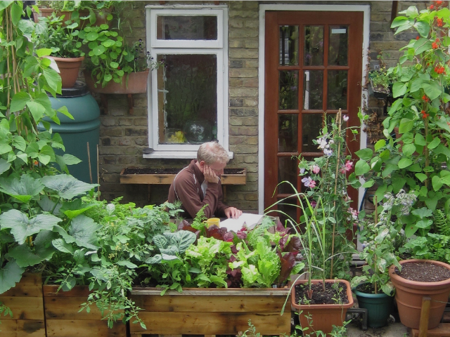 Mark's Garden