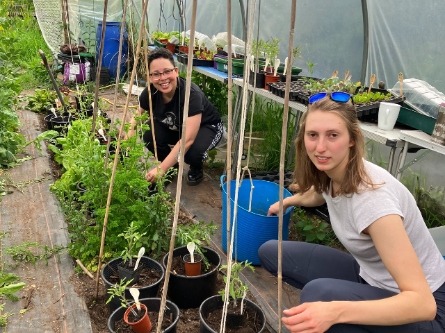 Ecoworks Polytunnel 