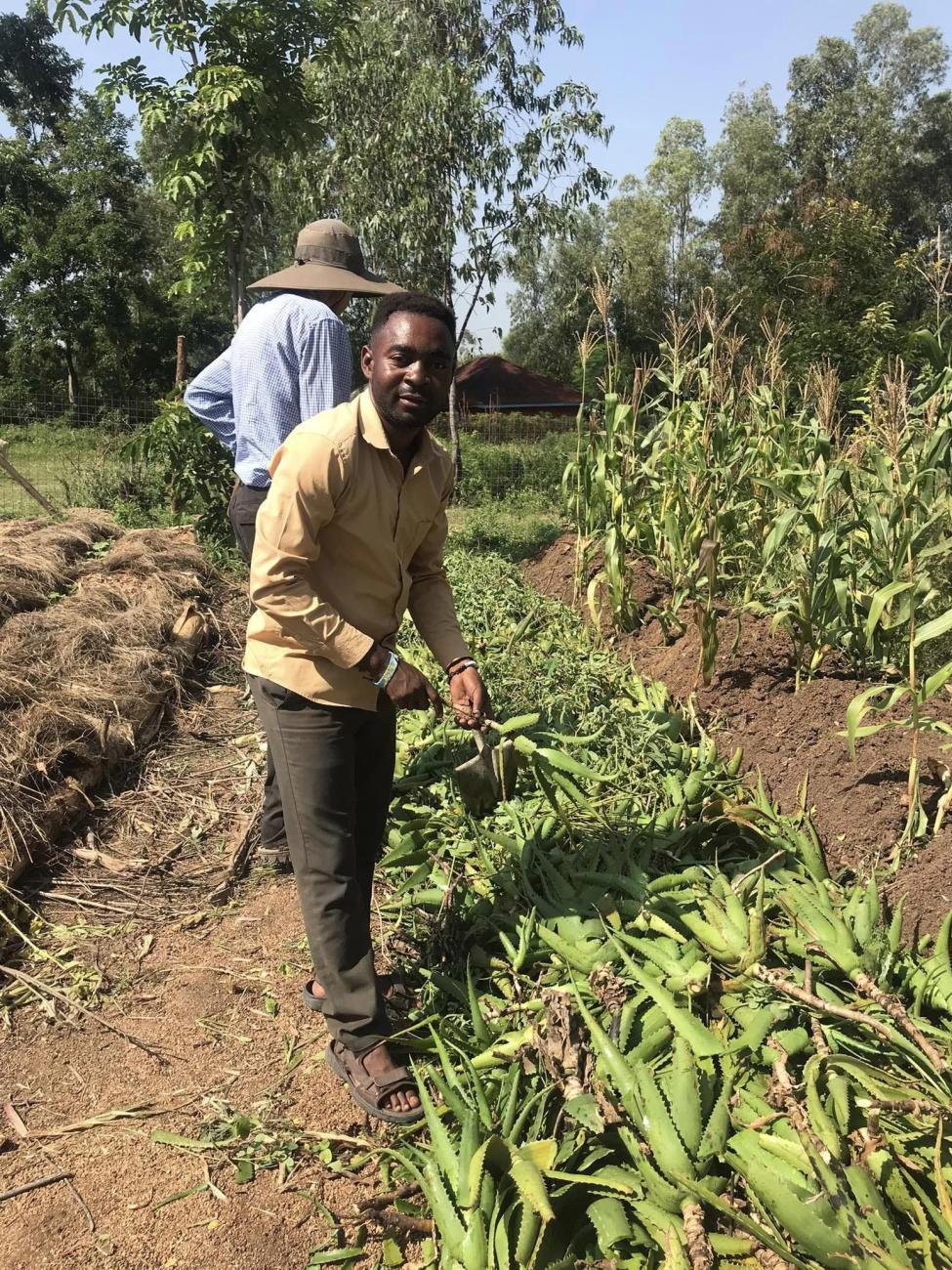 Uganda - Nakivale Refugee Camp - Biogreen 5