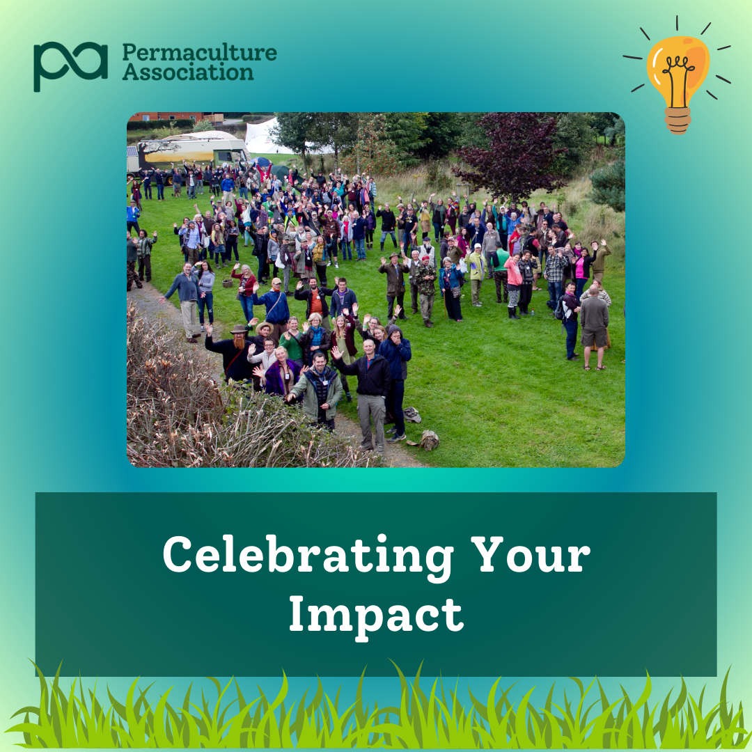 Celebrating Your Impact