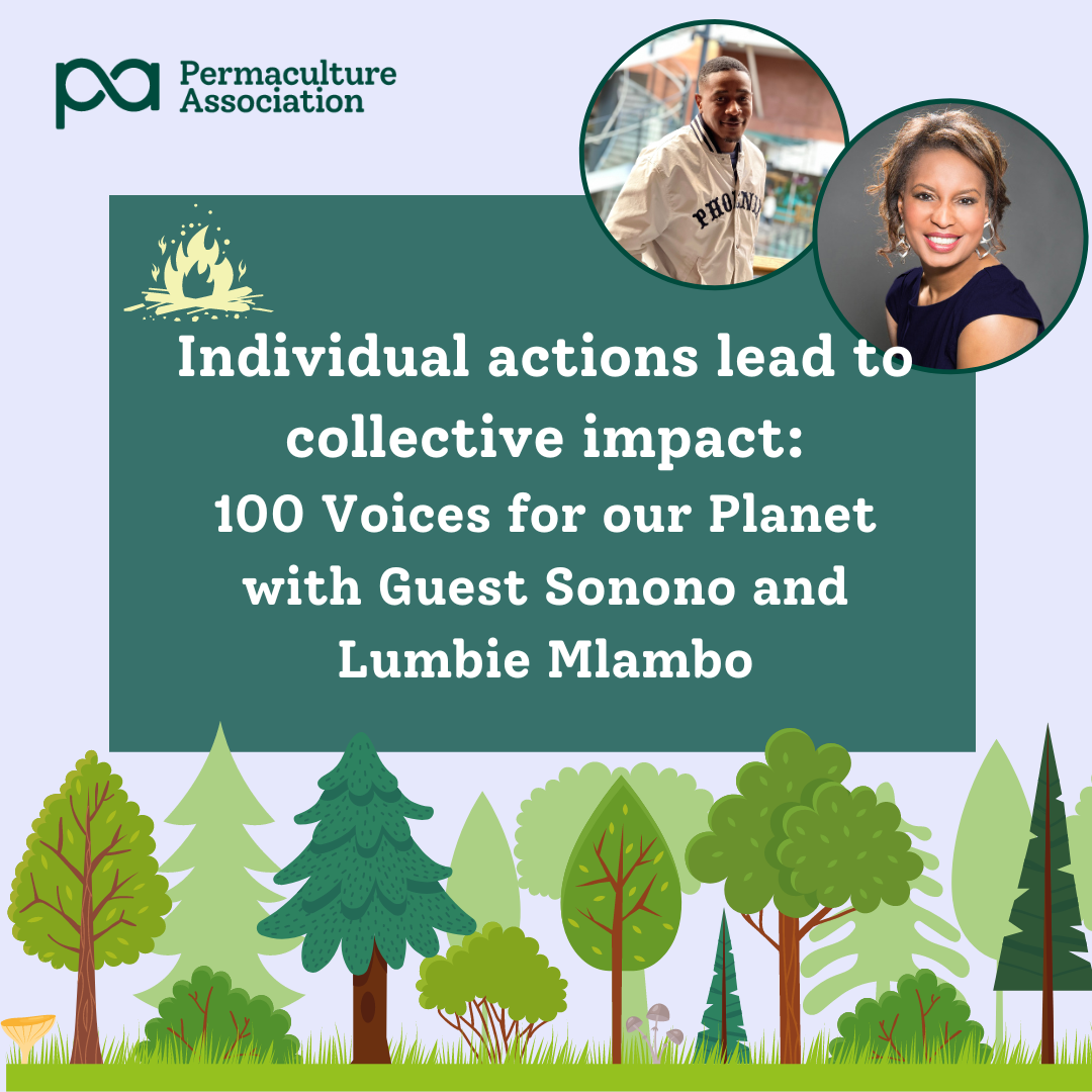100 voices campfire