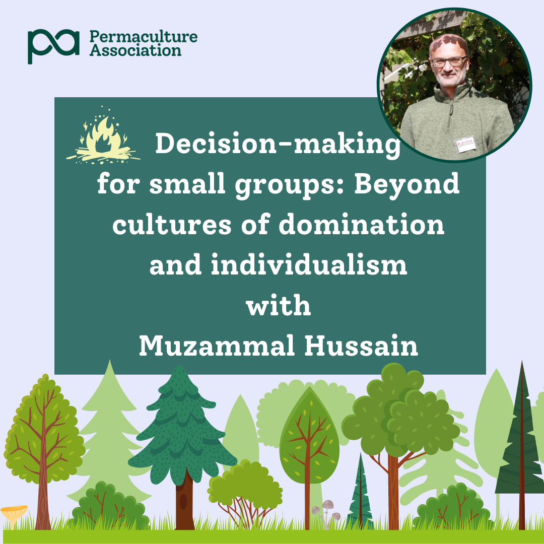 Decision making campfire
