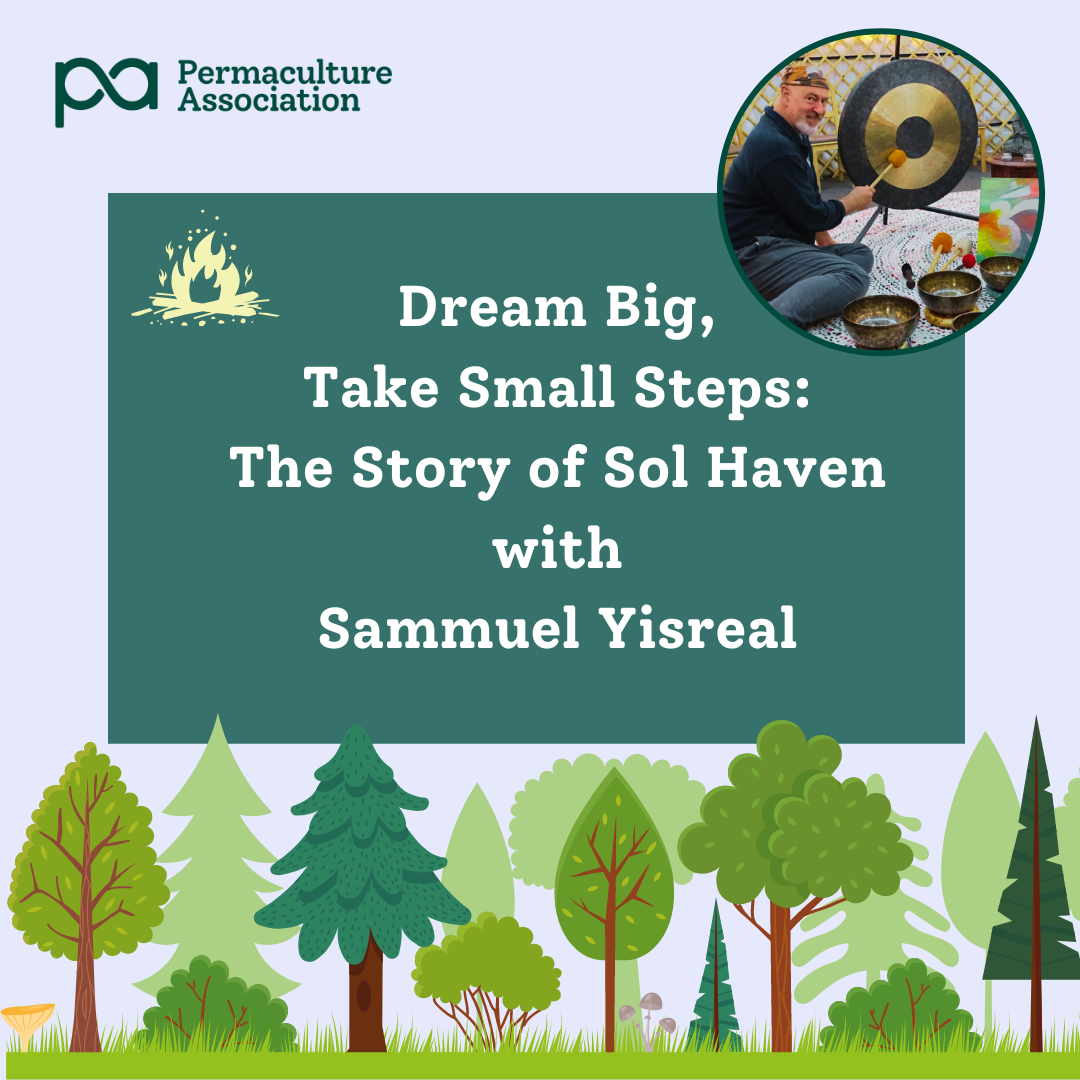 Dream Big Campfire