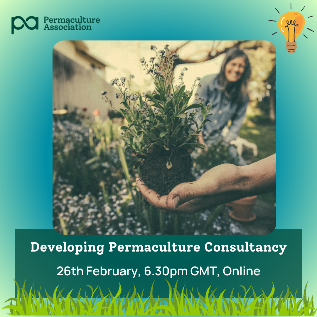 Consultancy masterclass