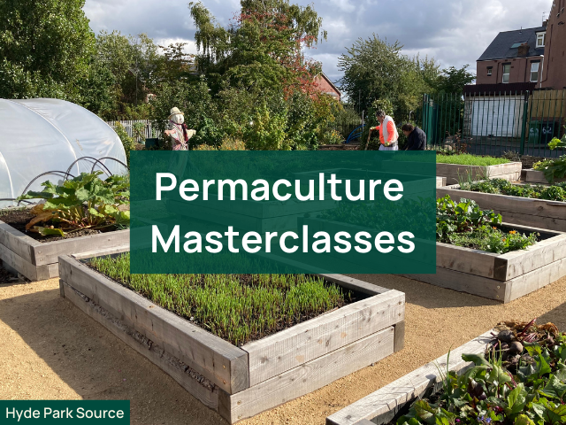 Masterclasses