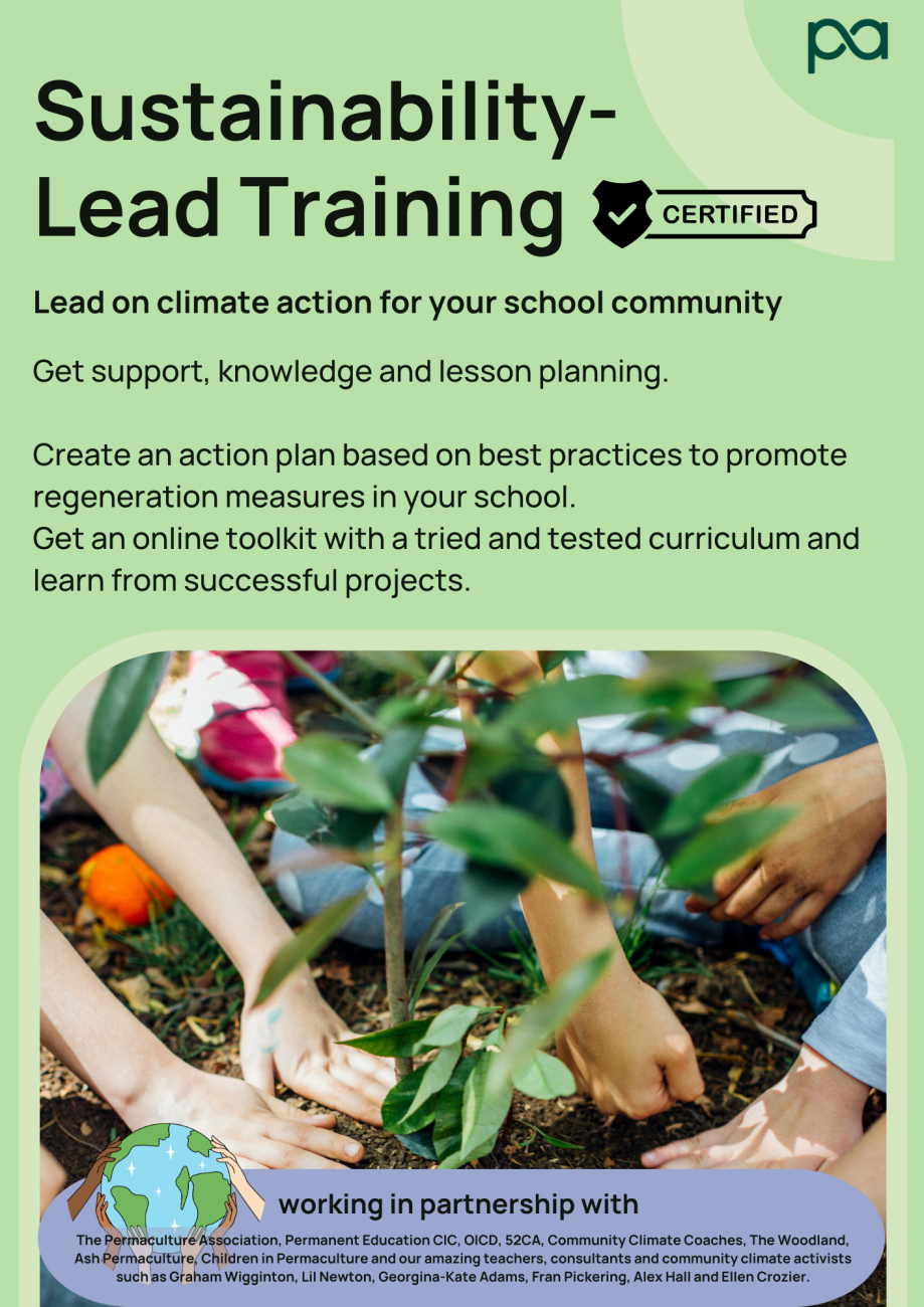 Sustanability lead