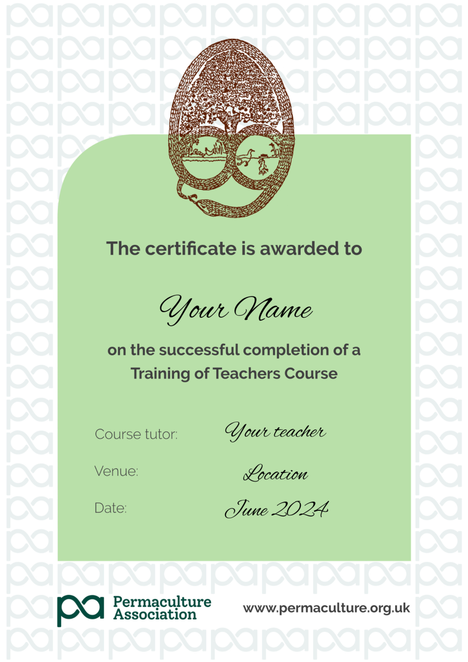 Blank Teacher Training Certificate