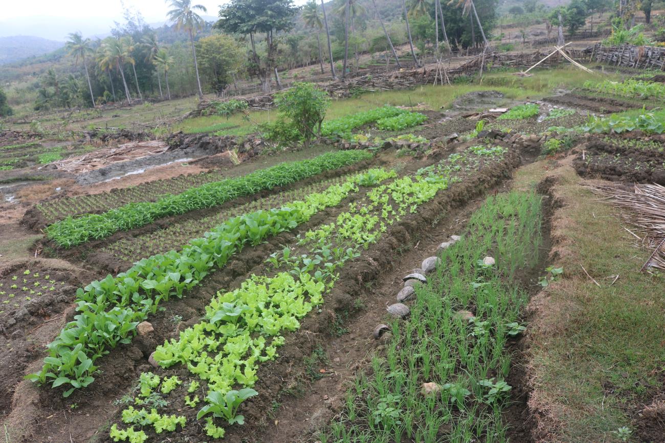 Water catchment