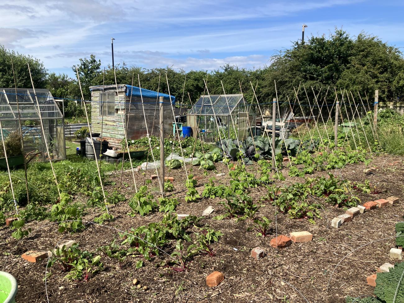 hendon traditional plot 
