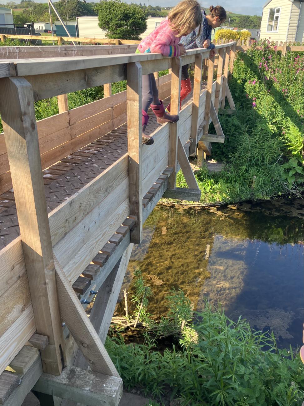 footbridge