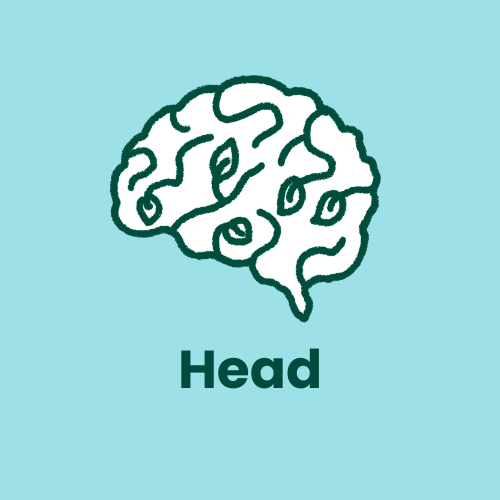 Head Sustainability Leads