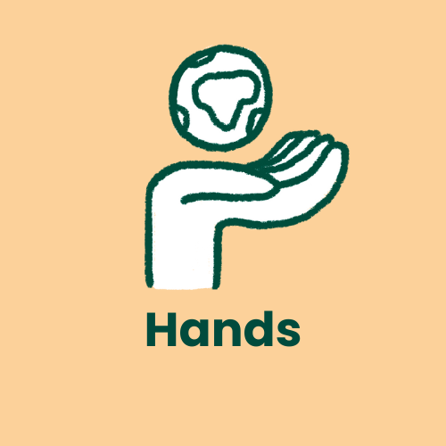 Hands Sustainability leads