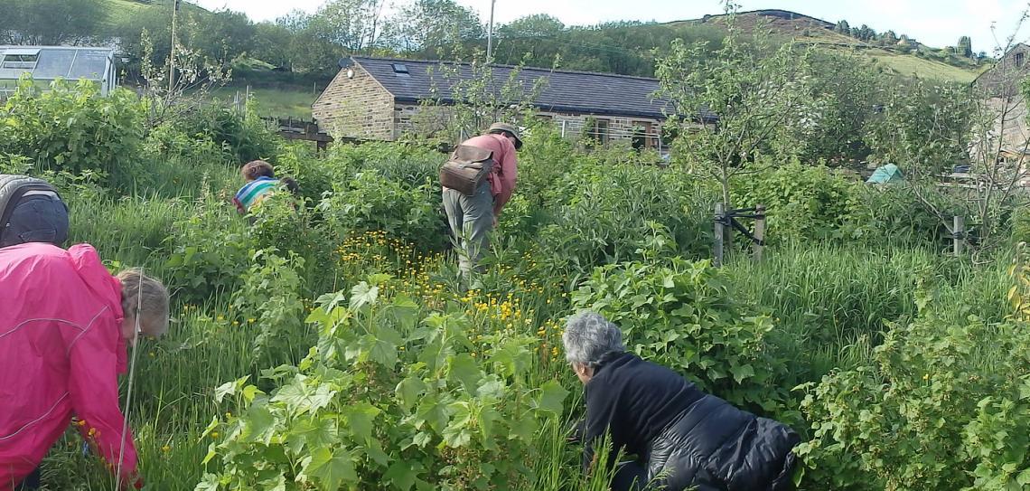people foraging in a forest garden 
