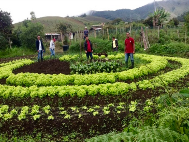 Biogricultura Colombia
