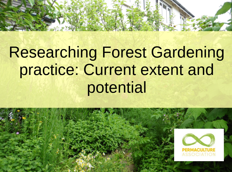 Text reading "Researching Forest Gardening practice: Current extent and potential" over a forest