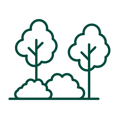 Trees icon