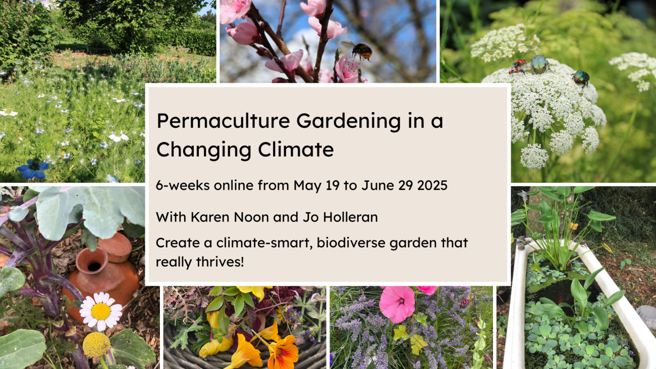 Permaculture Gardening in a changing climate