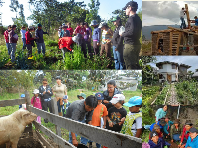 ALLPA Tarpuna Ecuador 4