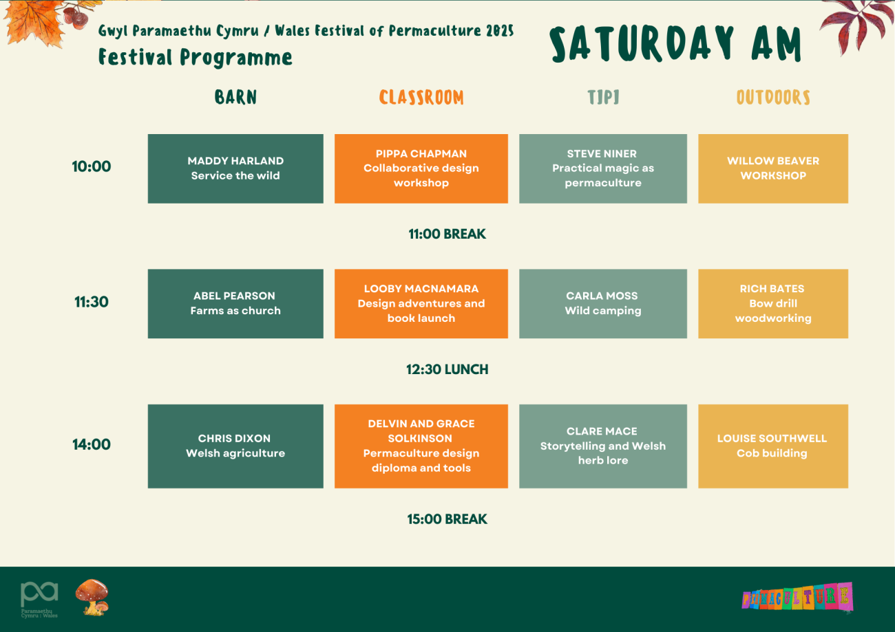 fest sat