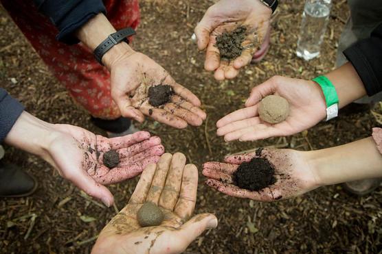 Soil in hands