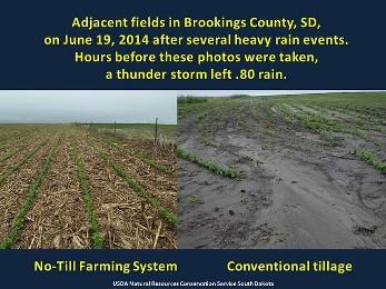 no till cropping
